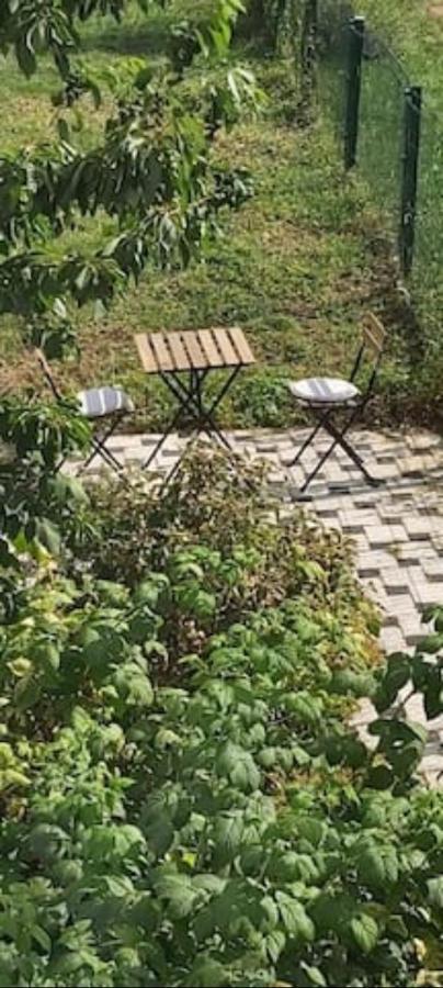 Lovely Appartment With Private Patio And Private Entrance In Luxembourg 60M2 Saeul Exteriör bild
